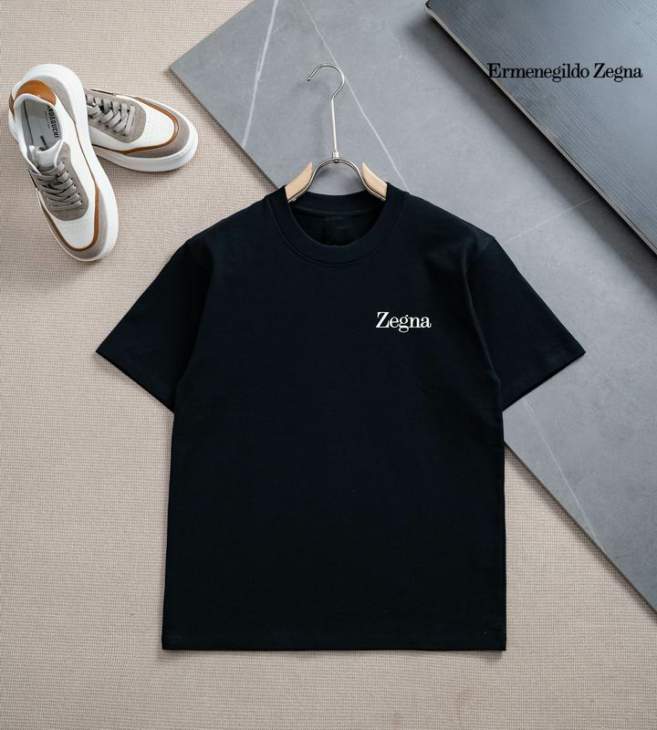 Picture of Zegna T Shirts Short _SKUZegnaS-3XL25cr2601
